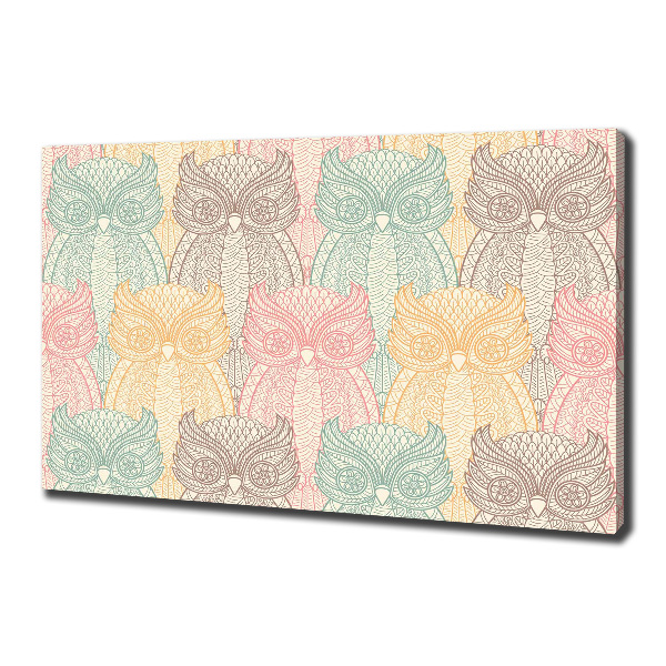 Foto quadro su tela Gufi