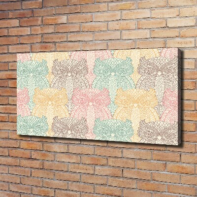 Foto quadro su tela Gufi