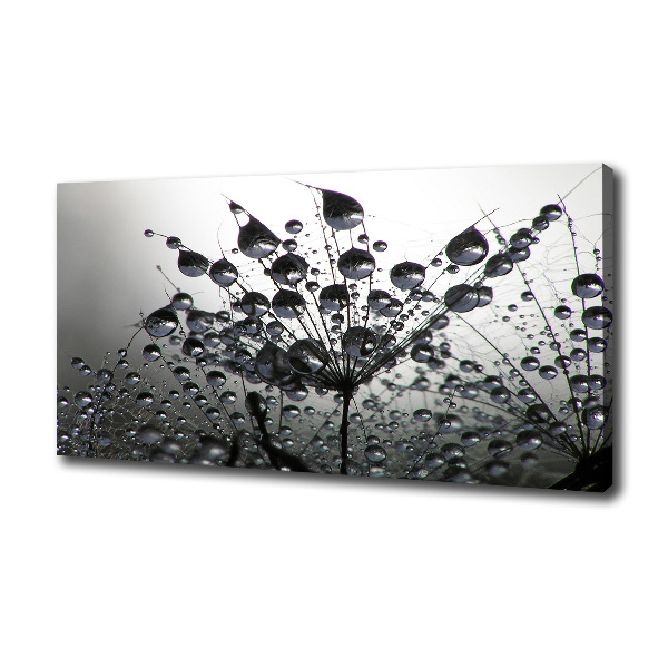 Foto quadro su tela Semi di tarassaco