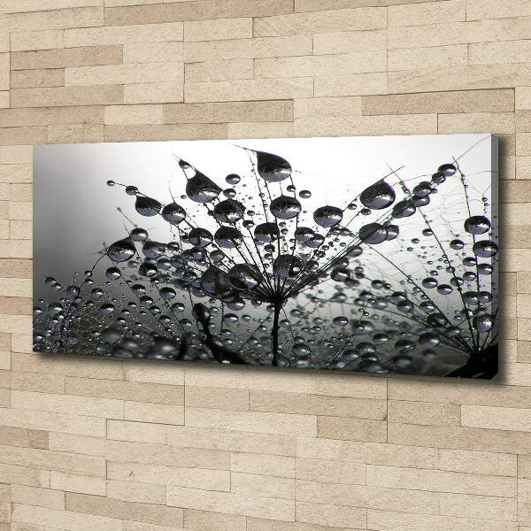 Foto quadro su tela Semi di tarassaco