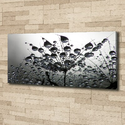 Foto quadro su tela Semi di tarassaco