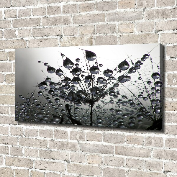 Foto quadro su tela Semi di tarassaco