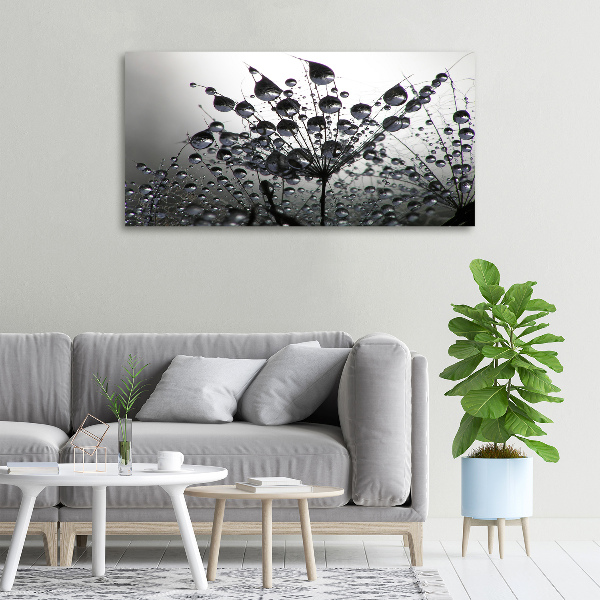 Foto quadro su tela Semi di tarassaco