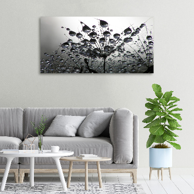 Foto quadro su tela Semi di tarassaco