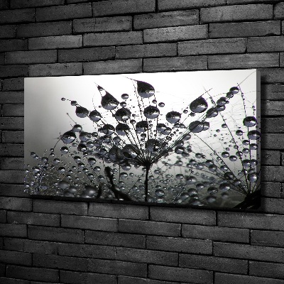 Foto quadro su tela Semi di tarassaco