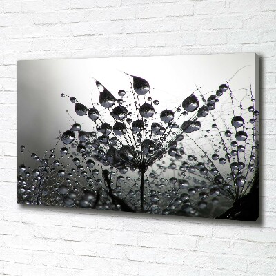 Foto quadro su tela Semi di tarassaco