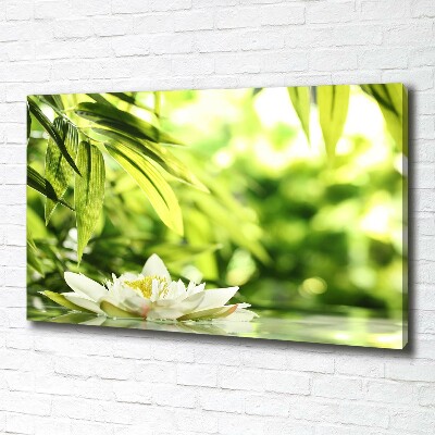 Quadro stampa su tela Ninfea