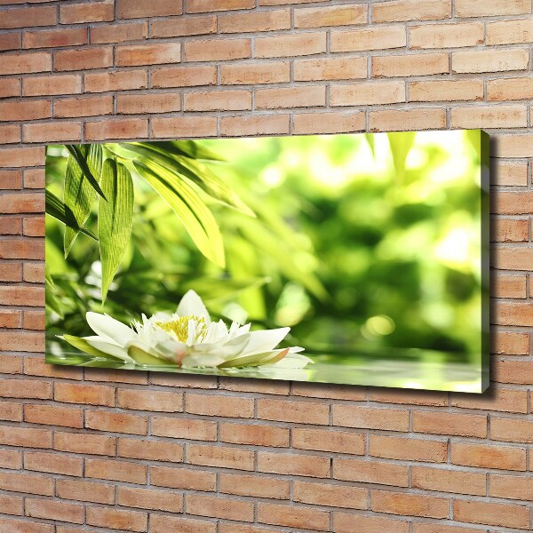 Quadro stampa su tela Ninfea