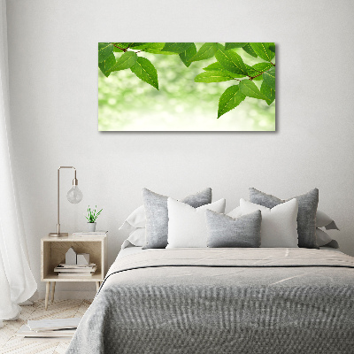 Quadro su tela Foglie verdi