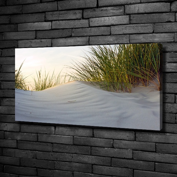 Foto quadro su tela Dune costiere
