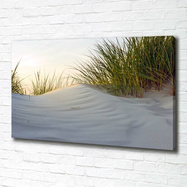 Foto quadro su tela Dune costiere