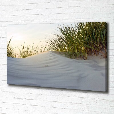 Foto quadro su tela Dune costiere