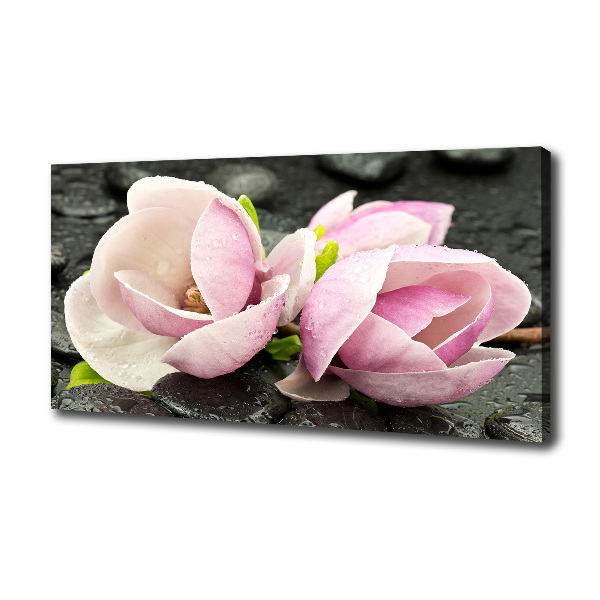 Quadro stampa su tela Pietra zen di magnolia