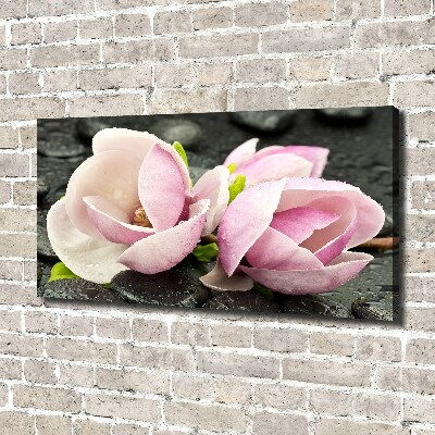 Quadro stampa su tela Pietra zen di magnolia