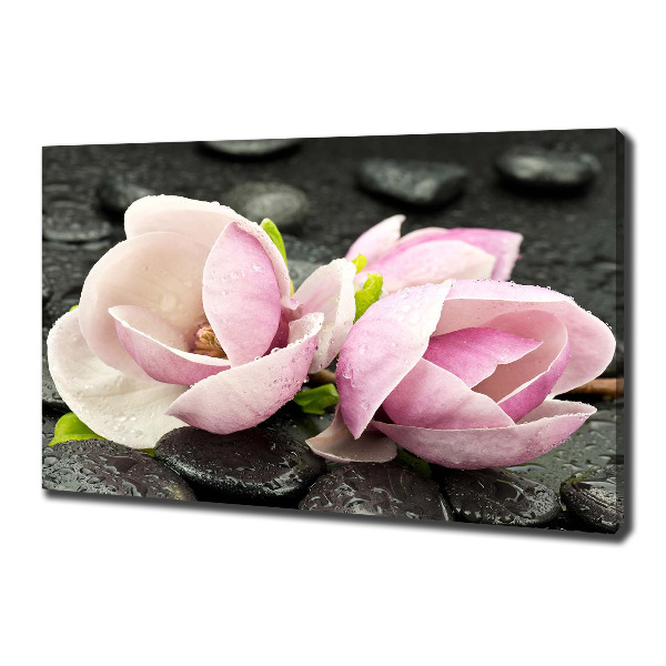 Quadro stampa su tela Pietra zen di magnolia