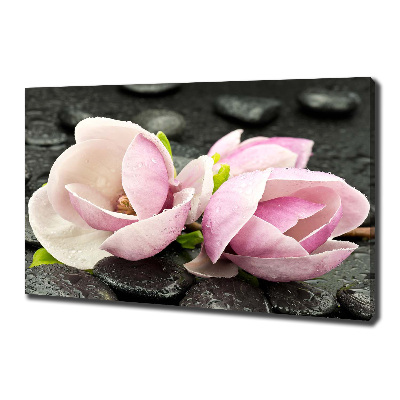 Quadro stampa su tela Pietra zen di magnolia