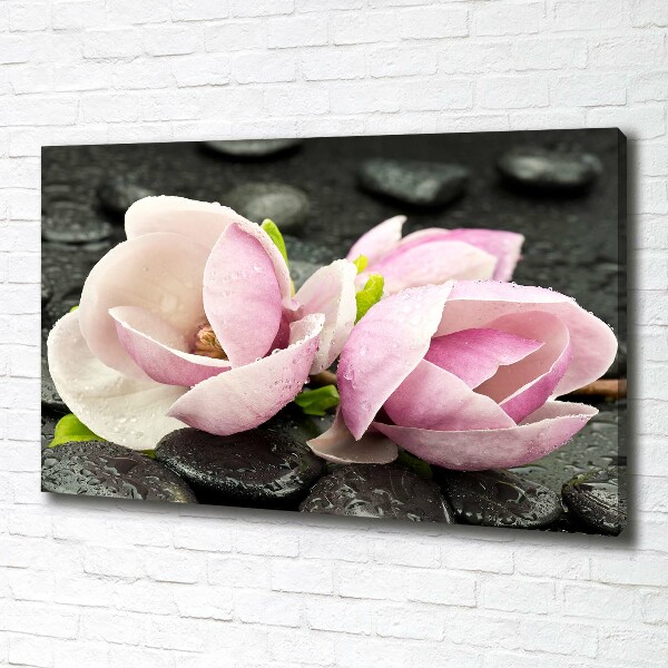 Quadro stampa su tela Pietra zen di magnolia