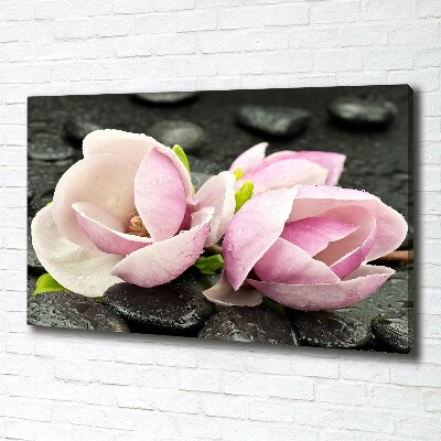 Quadro stampa su tela Pietra zen di magnolia