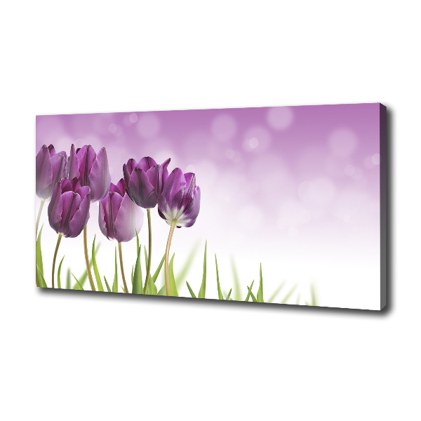 Foto quadro su tela Tulipani viola