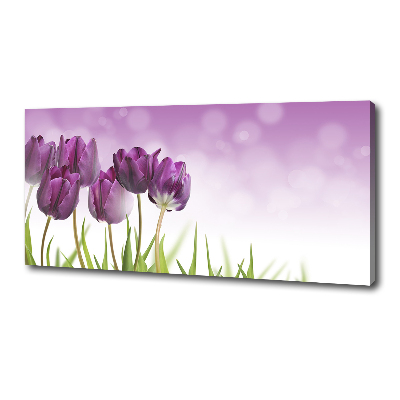 Foto quadro su tela Tulipani viola