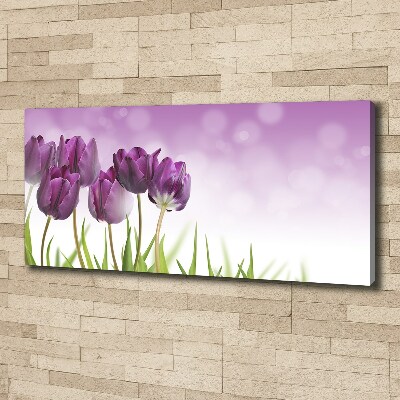 Foto quadro su tela Tulipani viola