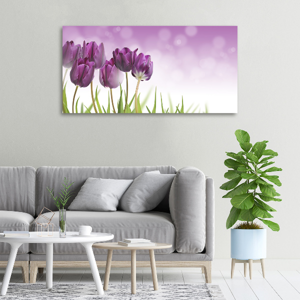 Foto quadro su tela Tulipani viola