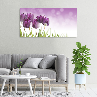 Foto quadro su tela Tulipani viola
