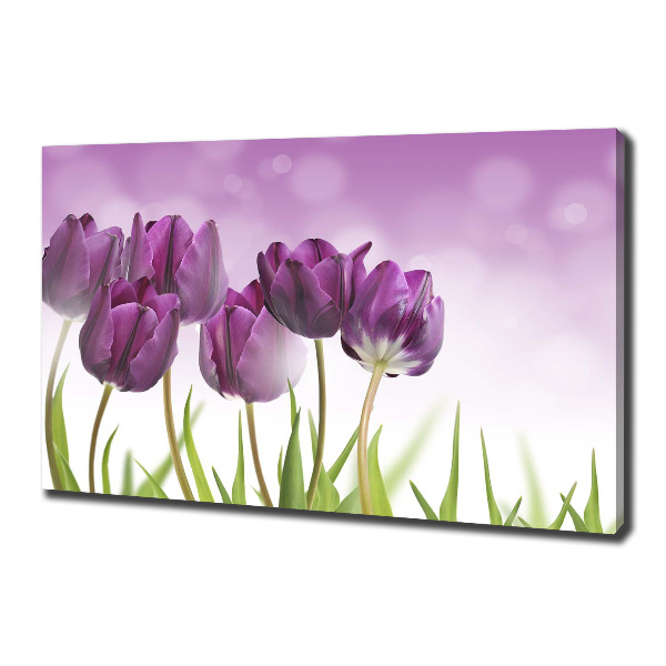 Foto quadro su tela Tulipani viola