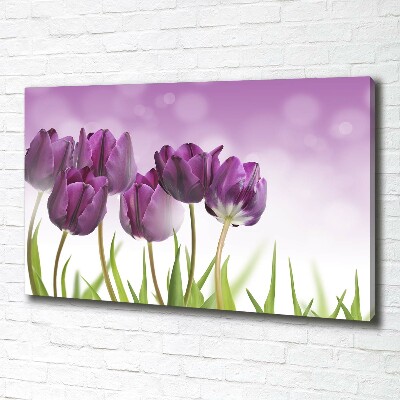 Foto quadro su tela Tulipani viola