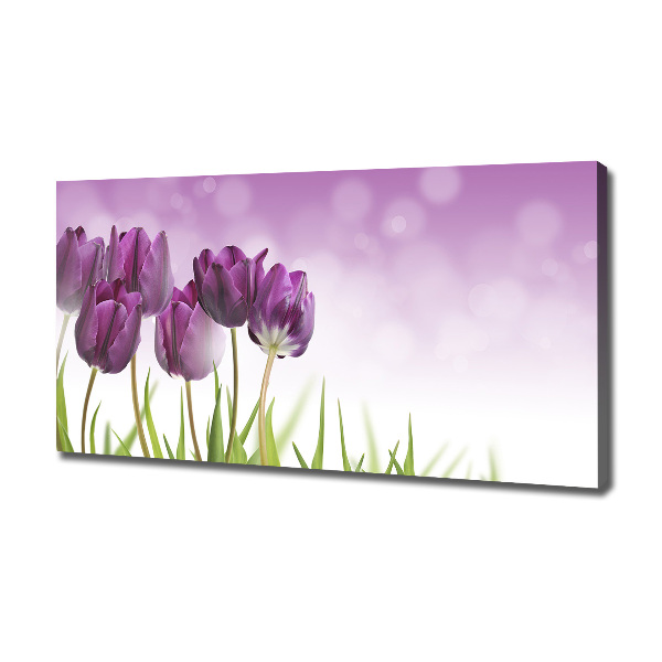 Foto quadro su tela Tulipani viola