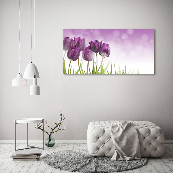 Foto quadro su tela Tulipani viola