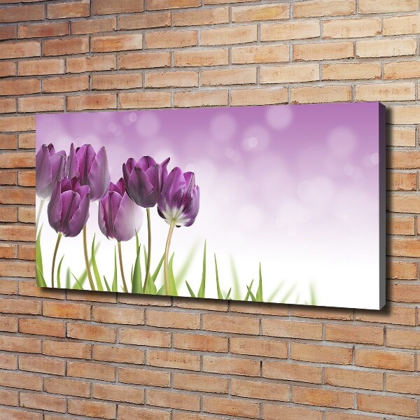 Foto quadro su tela Tulipani viola