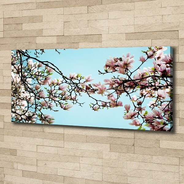 Quadro stampa su tela Fiori di magnolia