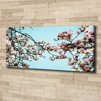Quadro stampa su tela Fiori di magnolia
