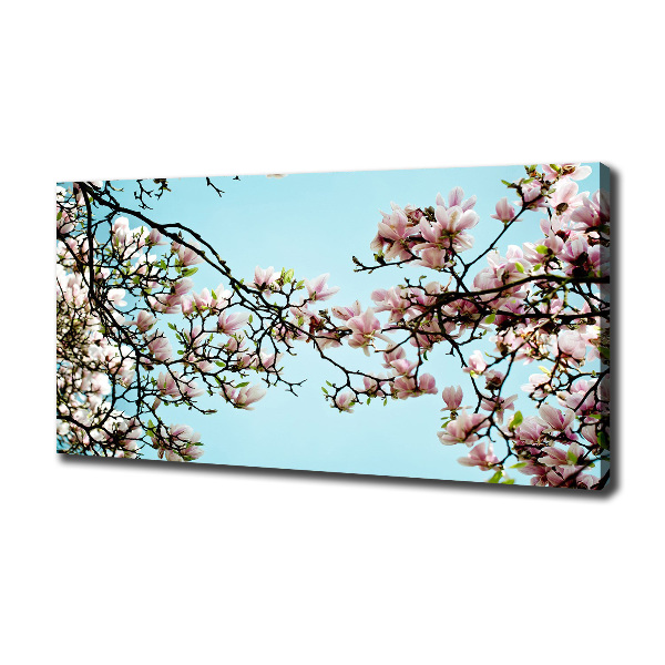 Quadro stampa su tela Fiori di magnolia