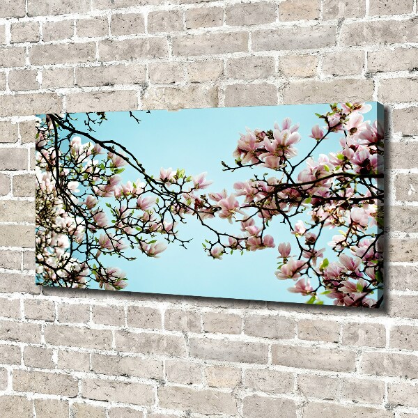 Quadro stampa su tela Fiori di magnolia