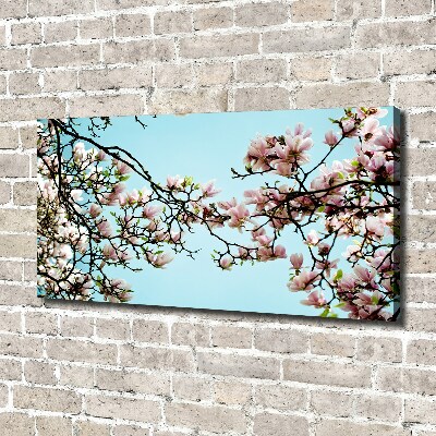Quadro stampa su tela Fiori di magnolia