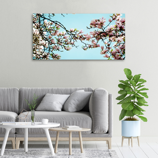 Quadro stampa su tela Fiori di magnolia