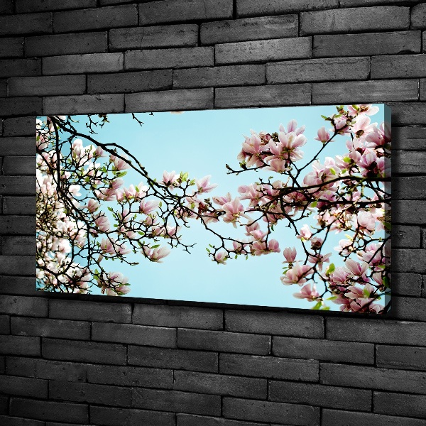 Quadro stampa su tela Fiori di magnolia