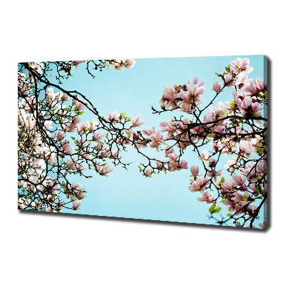 Quadro stampa su tela Fiori di magnolia