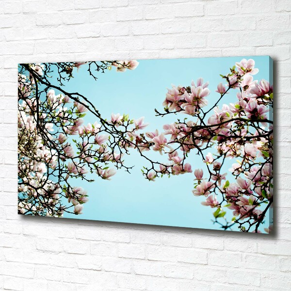 Quadro stampa su tela Fiori di magnolia