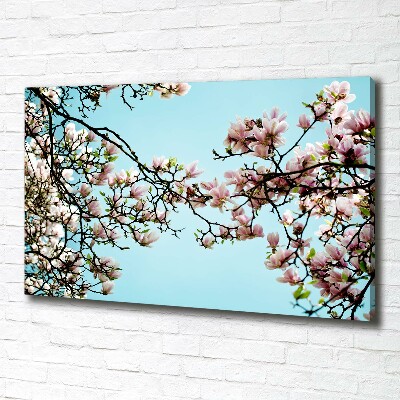 Quadro stampa su tela Fiori di magnolia
