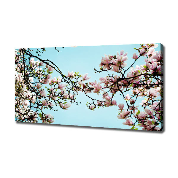 Quadro stampa su tela Fiori di magnolia