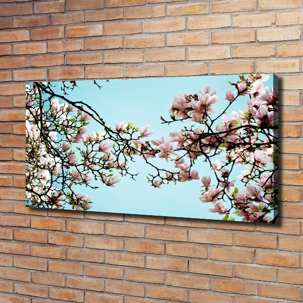 Quadro stampa su tela Fiori di magnolia
