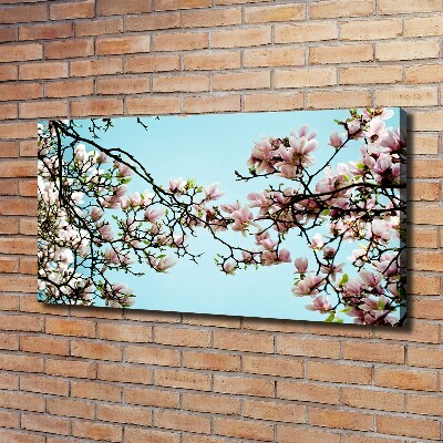 Quadro stampa su tela Fiori di magnolia