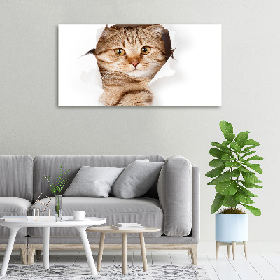Foto quadro su tela Gatto