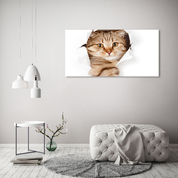 Foto quadro su tela Gatto