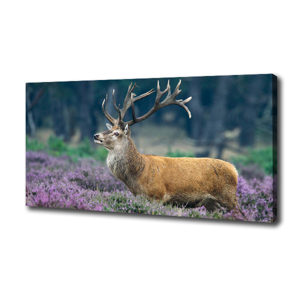 Quadro stampa su tela Cervi tra la lavanda