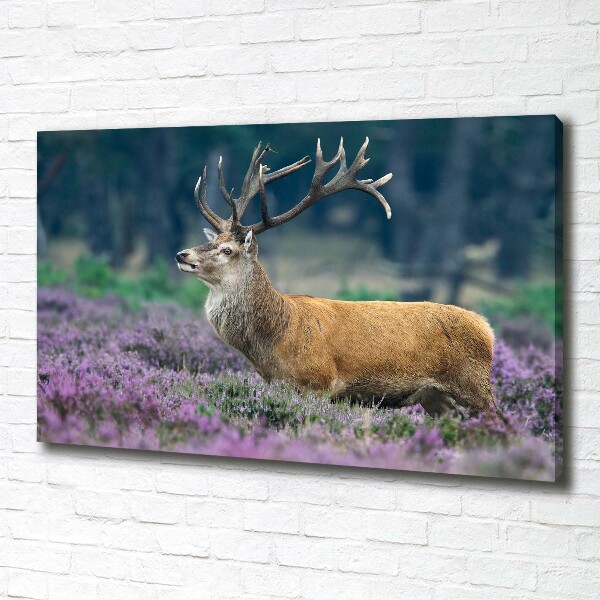 Quadro stampa su tela Cervi tra la lavanda