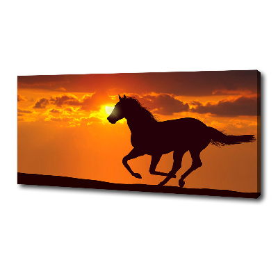 Quadro su tela Tramonto a cavallo